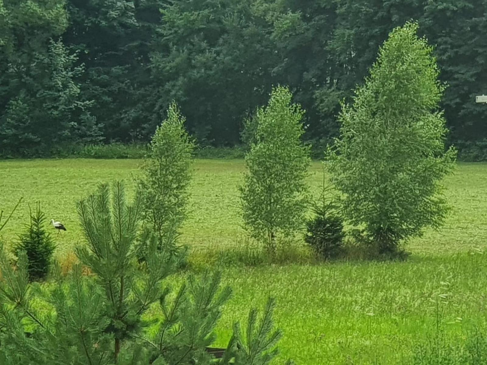 Вилла Wellness-Beskydy Простршедни Бечва Экстерьер фото